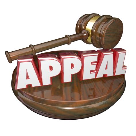 Review and Appeal the Decision if Necessary